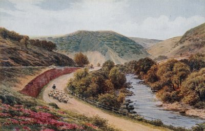 Rhayader aan de Wye door Alfred Robert Quinton